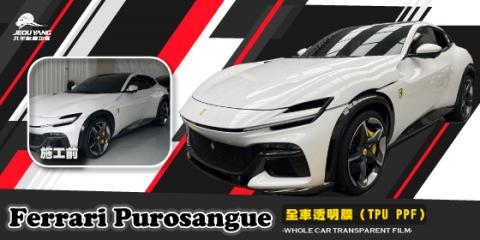 Ferrari Purosangue全車貼膜
