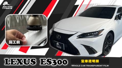 Lexus ES300(全車透明犀牛皮)
